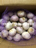 玉燕妃云南正宗新鮮紫皮獨(dú)頭大蒜獨(dú)蒜干蒜 農(nóng)家露天自種助農(nóng)生鮮蔬菜 4cm以上 紫皮獨(dú)蒜干蒜 6斤 曬單實(shí)拍圖