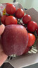 優(yōu)味集花牛蘋(píng)果水果新鮮甘肅高原紅蛇粉面蘋(píng)果嬰兒輔食中秋禮盒節日禮品 2.5斤凈重精選大果（單果190g+） 曬單實(shí)拍圖