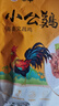 潭牛小公雞海南文昌雞凈重2斤 整雞 散養(yǎng)土雞肉生鮮冷凍 椰子雞 曬單實拍圖
