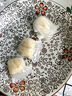廣州酒家利口福 蝦餃480g 24只裝 早餐半成品 廣式早茶點(diǎn)心 生鮮食品速食美食 曬單實(shí)拍圖