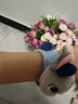 迪士尼（Disney）毛絨玩具手環(huán)公仔玩偶兒童生日禮物女 瘋狂動(dòng)物城朱迪兔子啪啪圈 曬單實(shí)拍圖