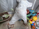 乖奇熊嬰幼套裝春秋季男女寶寶純棉衣服褲子家居分體兩件套兒童睡衣睡褲 奶白秋日香梨 80 曬單實(shí)拍圖
