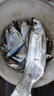 龍王恨野戰(zhàn)藍(lán)鯽老版釣魚(yú)餌料老三樣餌料正品野釣魚(yú)餌料通殺窩料餌 野戰(zhàn)藍(lán)鯽300g【三包】 曬單實(shí)拍圖