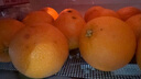 新奇士（Sunkist）澳洲藍標早臍橙4斤禮盒 單果180g起 新鮮水果 中秋禮盒 曬單實(shí)拍圖