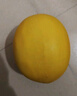 甘肅民勤沙漠蜜瓜新鮮采摘產(chǎn)地發(fā)貨 小果（單果≥500g）2斤凈重800g 曬單實(shí)拍圖