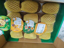 佳沛（zespri）新西蘭 陽光金奇異果12粒禮盒特大果單果約122-146g 獼猴桃 水果 曬單實拍圖
