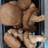 香菇約300g 曬單實(shí)拍圖