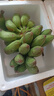 靜益樂源廣西小米蕉 粉蕉 新鮮香蕉水果 凈重4.5-5斤裝 曬單實拍圖