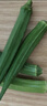 新鮮水果秋葵蔬菜新鮮現摘現發(fā)當季蔬菜生鮮涼拌好物減肥瘦身 現摘水果秋葵 2斤 曬單實(shí)拍圖