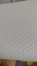MLILY瞇貍枕頭護頸椎記憶棉枕芯深度睡眠專(zhuān)用慢回彈0壓枕學(xué)生記憶枕 曬單實(shí)拍圖