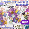 OSKV干花樹(shù)葉手工diy材料包標本貼畫(huà)書(shū)簽壓花植物葉子制作花朵彩色葉 干花國色生香A款 曬單實(shí)拍圖