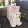 薇薇公主（weiweigongzhu）小羊玩偶公仔生日送女孩女友七夕情人節禮物送女生毛絨玩具布娃娃 小羊公仔 32cm送【星星發(fā)卡+禮袋+生日帽】送禮推薦 曬單實(shí)拍圖