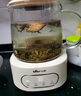 小熊（Bear）養(yǎng)生壺 煮茶壺 恒溫水壺 保溫燒水一體智能電熱水壺花茶壺燒水壺 11檔保溫 1.5L大容量 YSH-J15Z7 曬單實拍圖