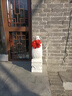鎏銘石雕門(mén)墩一對(duì)抱鼓石墩漢白玉大象青石貔貅別墅家用門(mén)口石獅子擺件 福魚(yú)款高60長(zhǎng)30寬20一對(duì) 曬單實(shí)拍圖