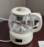 小熊（Bear）煮茶器煮茶壺 養生壺烹煮一體茶壺迷你蒸茶器 316L噴淋式不銹鋼燒水壺黑茶茶具1升ZCQ-F10N7 曬單實(shí)拍圖