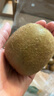 佳沛（zespri）綠奇異果特大果22-25個(gè)原箱裝單果約133-176g 水果禮盒獼猴桃 曬單實(shí)拍圖