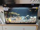 森森金麟超白玻璃魚缸一體缸自循環(huán)客廳小型家用水族箱LE-480B 曬單實(shí)拍圖