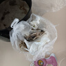 鮮京采 國產(chǎn)原切牛肉卷400g*3 生鮮牛肉 火鍋食材 牛肉片 京東自有品牌 曬單實拍圖