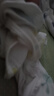 波司登輕薄鵝絨羽絨服男短款菱格易收納舒適版型立領(lǐng)百搭外套 曬單實(shí)拍圖