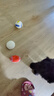 宜特（EETOYS）乳膠發(fā)聲玩具球小號四件套狗狗玩具趣味互動磨牙陪伴解悶寵物用品 曬單實拍圖