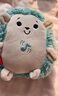 費(fèi)雪（Fisher-Price）生日禮物安撫玩偶新生兒哄睡神器-費(fèi)雪音樂安撫小刺猬GHL40 曬單實拍圖