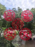 QCCOF電動(dòng)寶寶餐椅嬰兒0-6歲多功能二合一搖椅兒童折疊電動(dòng)餐椅餐桌椅 白【電動(dòng)搖椅+萬向輪+可坐可躺】 PU墊+雙餐盤+護(hù)肩護(hù)胯+帶搖籃曲 曬單實(shí)拍圖