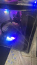 免押金租賃電腦丨酷睿i5i7i9/1060/4060Ti臺式主機丨出辦公直播游戲設(shè)計剪輯渲染租金月付 押金折扣租 配置五【爆款】無人AI直播/高效剪輯渲染 曬單實拍圖