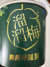 溜溜梅青梅全家桶600g西梅雪梅脆青梅話梅楊梅蜜餞果干健康休閑零食禮包 曬單實拍圖