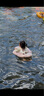 swimbobo兒童游泳圈趴圈 小孩游泳裝備 寶寶游泳圈 女童粉色泳圈BO5015XL 曬單實(shí)拍圖