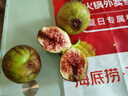 壹萌果蔬云南紅皮無花果【JD順豐多地次日達(dá)】新鮮無花果鮮果水果當(dāng)季現(xiàn)摘 2斤SS+臻品特大果【單果50g+】 曬單實(shí)拍圖