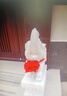 君閔石雕大象一對漢白玉門(mén)墩抱鼓石門(mén)口石象看門(mén)鎮宅招財大象門(mén)墩擺件 高品質(zhì)漢白玉大象高30厘米一對 曬單實(shí)拍圖