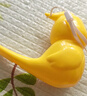 乖明星水鳥(niǎo)口哨兒童發(fā)音訓(xùn)練可注水加水會(huì)學(xué)鳥(niǎo)叫嬰幼兒喇叭小鳥(niǎo)哨子玩具 曬單實(shí)拍圖