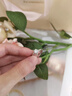 Grace Girl鉑金培育鉆石戒指女求婚結婚鉆戒紀念日情人節生日禮物送女友老婆 鉑金50分培育鉆石戒指 曬單實(shí)拍圖