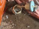 高顏值玻璃花茶杯顏值帶吸管玻璃杯茶杯水杯咖啡杯 藍(lán)色 500ml 曬單實拍圖
