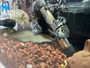 尼特利1號(hào)大師水草泥魚(yú)缸專(zhuān)用水藻泥生態(tài)草缸底砂營(yíng)養(yǎng)土2L/袋 曬單實(shí)拍圖
