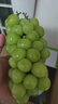 玖原農(nóng)珍 四川陽光玫瑰葡萄新鮮水果晴王大顆葡萄彩箱禮盒裝 含箱5斤凈果4斤優(yōu)選果7-12g 曬單實拍圖