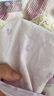 全棉時(shí)代京東專供內(nèi)褲女【5A抗菌透氣】95棉女式中腰成人內(nèi)褲女士自營(yíng)3條 曬單實(shí)拍圖