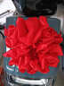 佳妍大紅花球 退伍開(kāi)業(yè)綢帶花球結婚車(chē)頭花裝飾慶典剪彩揭幕紅布50cm 曬單實(shí)拍圖