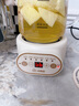 小南瓜養生壺多功能全自動(dòng)煮茶器迷你家用燒水壺電熱水壺恒溫壺茶壺家電茶壺燒水器煎藥壺煮水壺玻璃壺 頂配款【配濾網(wǎng)+杯墊+勺子】 0.5L 曬單實(shí)拍圖