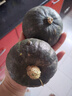 京喜加【超市品質(zhì)】正宗貝貝南瓜中大果寶寶輔食新鮮蔬菜生鮮減肥減脂 貝貝南瓜 2斤 帶箱 曬單實(shí)拍圖