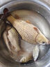 久巖金袖魚(yú)鉤成品子線(xiàn)雙鉤綁好有無(wú)刺防纏繞短子線(xiàn)專(zhuān)用高端鯽魚(yú)鉤袖鉤 35cm有刺金袖【鉤4+0.6鉤5+0.8】 共20付 曬單實(shí)拍圖