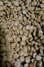 伯納天純鴨肉梨凍干三拼全價狗糧20kg/40斤 曬單實拍圖