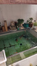水族魚(yú)池增氧泵大魚(yú)缸沖氧氣泵觀(guān)賞錦鯉魚(yú)水族箱賣(mài)魚(yú)增氧機海鮮 海利ACO-9720 -20W 曬單實(shí)拍圖