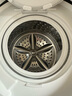 美的（Midea）內(nèi)衣褲洗衣機(jī) 類全自動(dòng)迷你洗 小型波輪內(nèi)衣褲清洗機(jī) 高溫煮洗除菌除螨嬰兒洗衣機(jī) 襪子洗衣機(jī) 白色-洗烘（0.5KG高溫除菌） 曬單實(shí)拍圖
