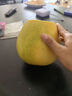 京鮮生 新疆庫爾勒香梨 凈重10斤 一級 單果100-120g 生鮮水果 曬單實(shí)拍圖