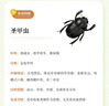 兒童文學(xué)法布爾昆蟲(chóng)記（6冊）小學(xué)生一二三年級課外閱讀彩圖注音版兒童文學(xué)自然科普百科叢書(shū) 曬單實(shí)拍圖