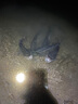 釣魚王鰱鳙巨物方塊餌料翻板爆炸鉤專用魚餌海桿拋竿酸臭鯉魚窩料 鰱鳙酸臭餅【16塊*2包】 曬單實(shí)拍圖
