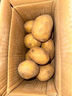 新鮮土豆現(xiàn)挖現(xiàn)發(fā)山東正宗黃心黃肉當(dāng)季蔬菜馬鈴薯洋芋薯?xiàng)l3兩起 山東土豆帶箱2斤 中大果 曬單實(shí)拍圖