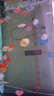 瀚幻七彩神仙魚觀賞魚熱帶魚中小型燕魚財(cái)神紅鴿子紅藍(lán)松石活體淡水魚 爆點(diǎn)8-10cm 1條 曬單實(shí)拍圖