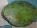 正宗凱特芒果 肉厚甜心芒熱帶當季新鮮水果整箱 帶箱2斤單果300g+ 曬單實拍圖